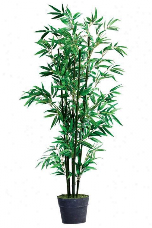 "bamboo Topiary With Tin Base - 63""h, Blacl"