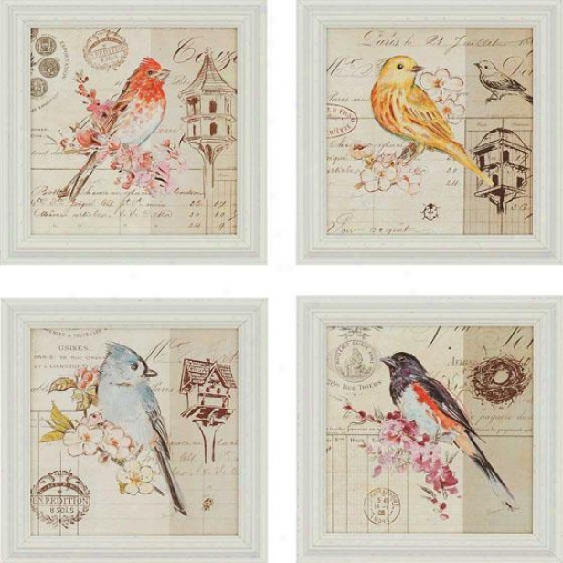 Bird Sketch Wall Ar t- Set Of 4 - Set Of Four, Ivory