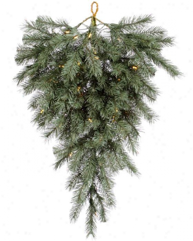 "blue Albany Prink Teardrop Tree - 36""l, White"