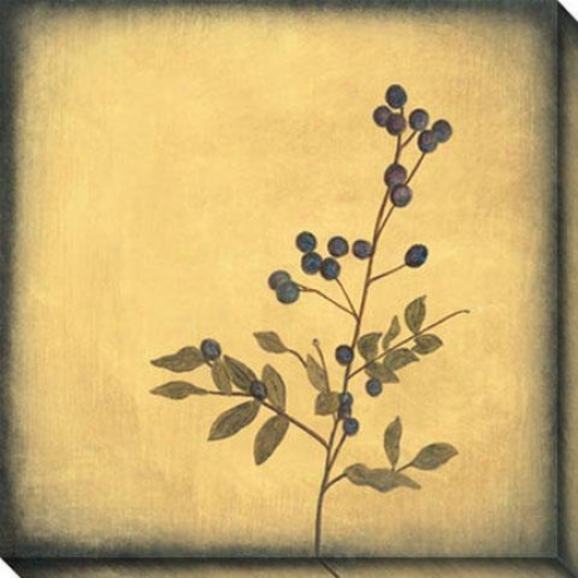 Botanica Ii Canvas Wall Art - Ii, Ivory