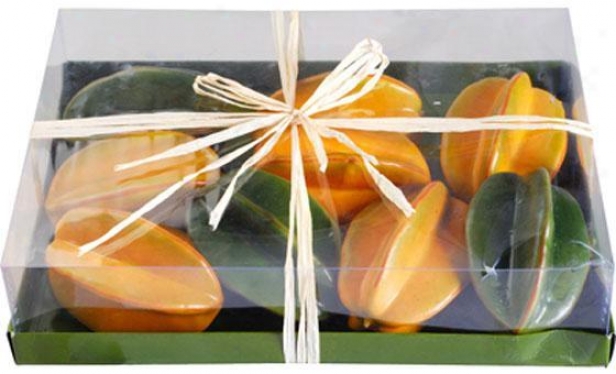 Boxed Fruit - Set Of 9 - 9 Piece, Star Fruit