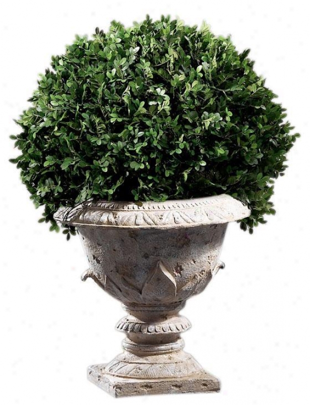 "boxwood Foliage Ornamental With Resin Urn Base - Single 30""h, Resin Base"