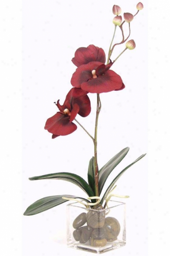 "burgundy Orchid Floral Arrangement - 15""hx12""d, Red"