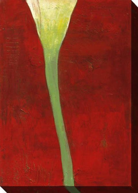Calla Lily On Deep Red Ii Canvas Wall Art - Ii, Red