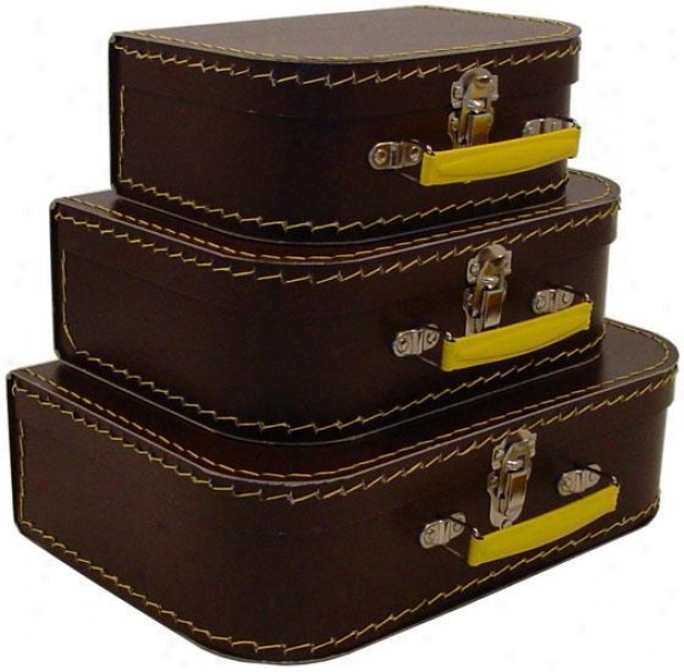 Cargo Grow ~ Euro Case - Set Of 3 - 3 Piece Set, Brown