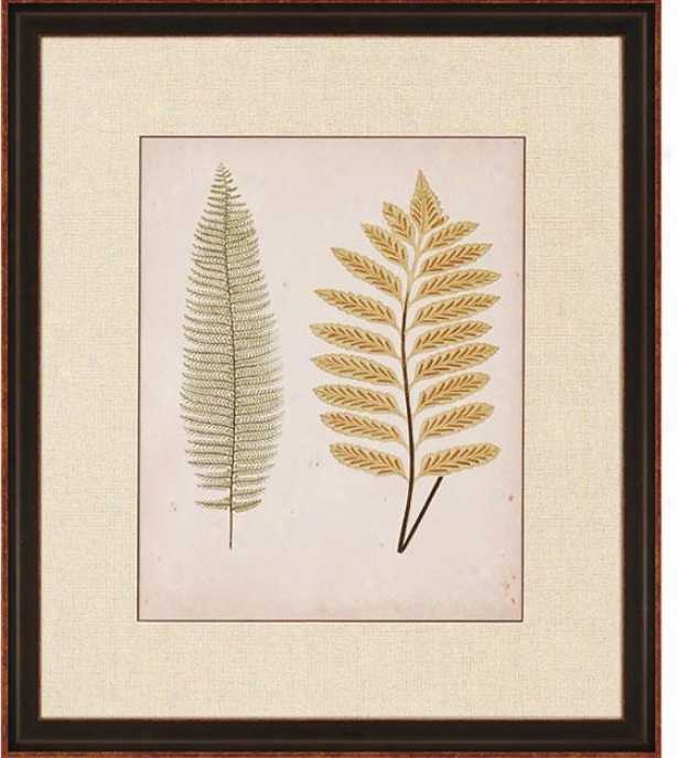 "cottage Ferns - 32""hx27""w, Ii"