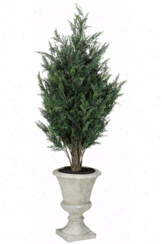 "cypress Tree In Resin Pot - 57""h, Green"