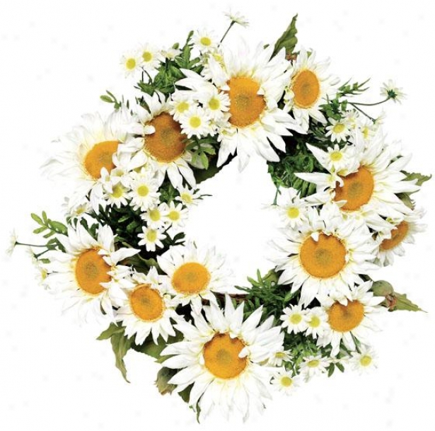 "daisy Wreath - 24""d, White"