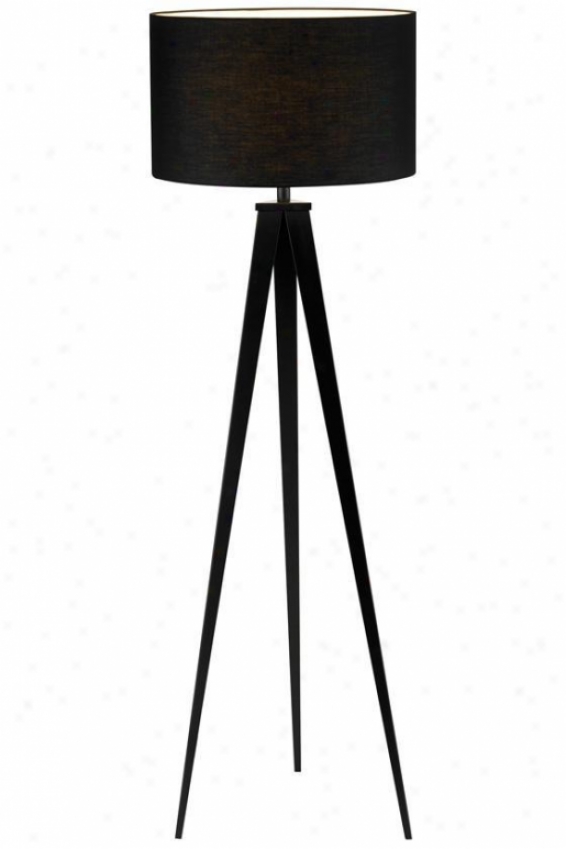 "director Floor Lamp - 48.5""hx18""w, Black"