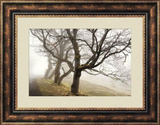 "early Morning Still Framed Wall Art - 28""hx36""w, Brown"