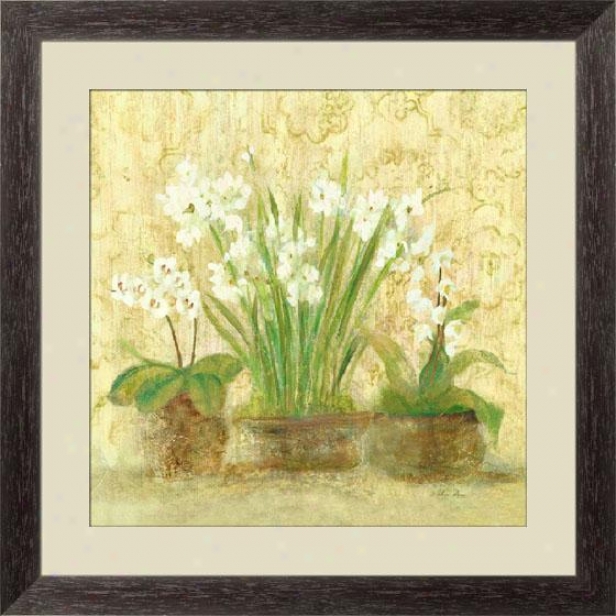 "esprit Narcissus And Orchid Framed Wall Art - 27""hx27""w, Esprso Cube Frm"