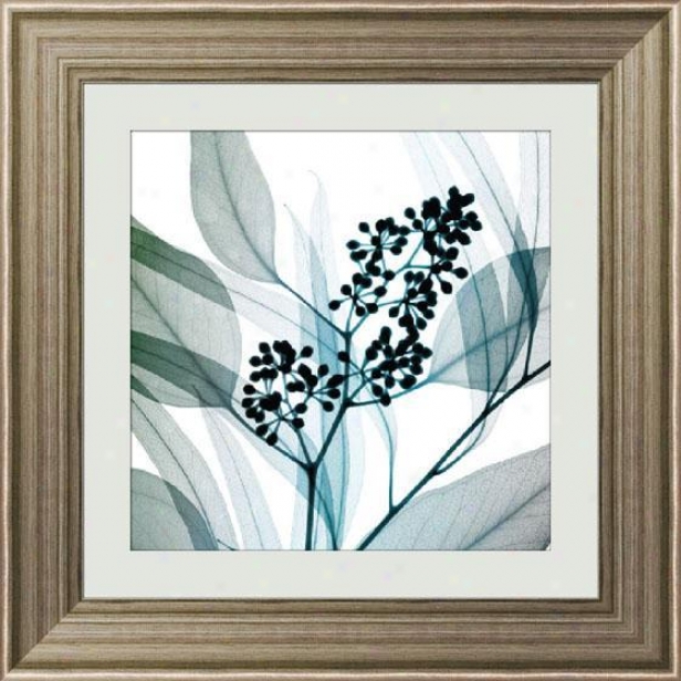 "eucalyptus Frmaed Wall Art - 33""hx33""w, Tns Slv/pwtr Fm"