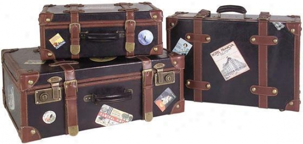 Explorer Suitcases - Set Of 3 - Set Of 3, Brown