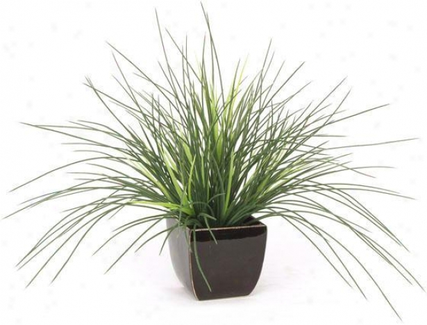 "expo Crane Grass - 17""hx20""d, Verdant"