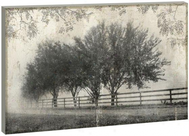 Farmside Beauty Wall Art - 36hx54wx1.5d, Black