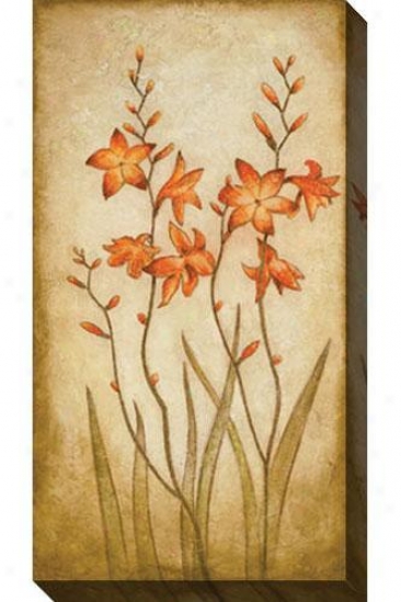 Fire Plant I Canvas Wall Art - I, Crema