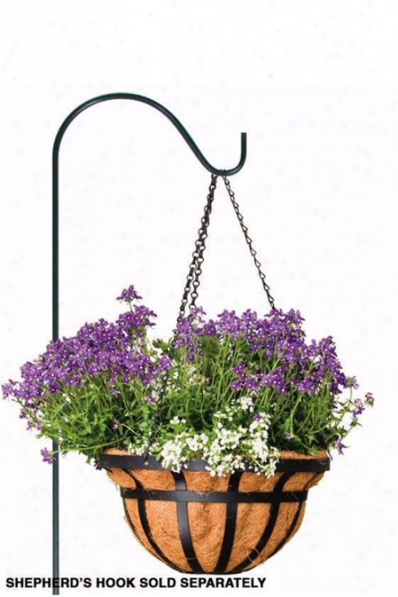 "flat Iron Hanging Basket - 7""hx14""wx14""d, Black"