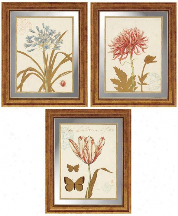 Fleurs Wall Art - Regular Of 3 - Set Of 3, Ivory