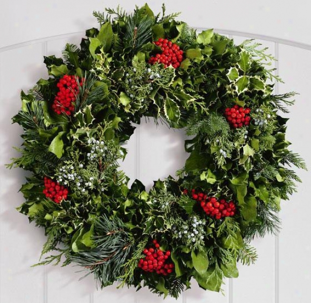 "fresh Greens Life Magazine Wreath - 36"", Green"