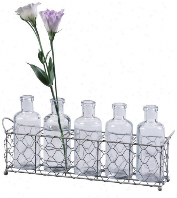 Glass Bottles And Wire Tra ySet - 12.75x2.5, Silver/clear