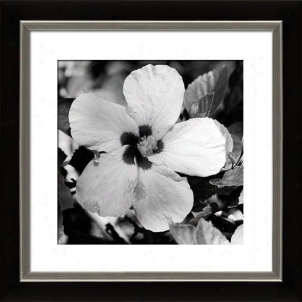 "glory Framed Wall Art - 29""hx29""w, Mttd Blck/slvr"