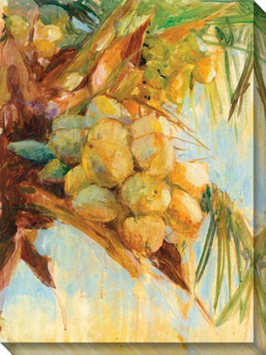 "golden Coconuts Canvas Wall Art - 36""gx48""w, Yellow"