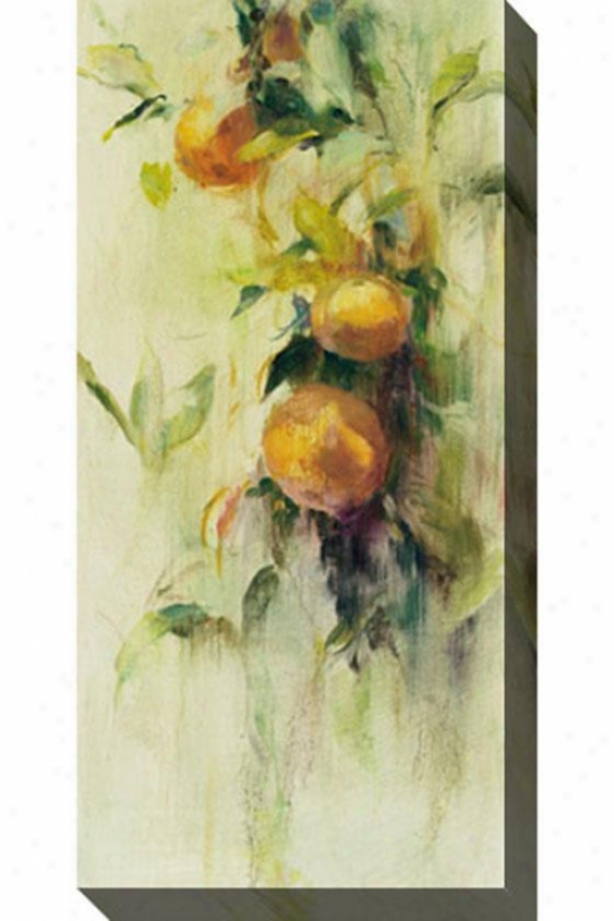 Golden Fruit Study Iii Canvas Wall Art - Iii, White