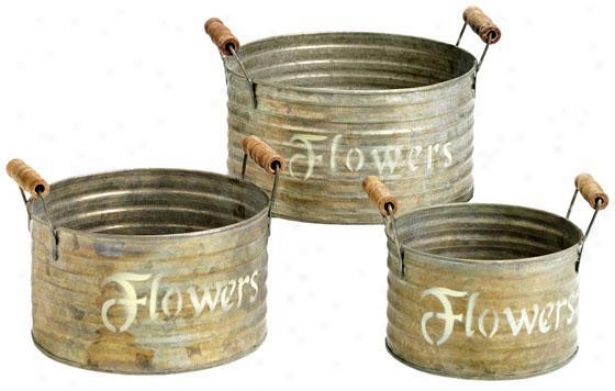 Handled Flower Pots - Set Of 3 - Set Of 3, Silver