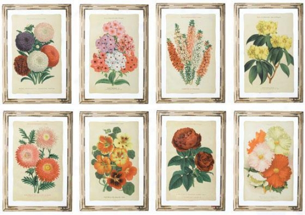 In Full Bloom Wall Art Prints - Set Of 8 - Set Of 8, Pink/red