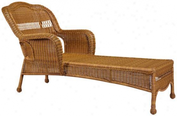 Indoor/outdoor Chaise Lounges - Sahara Chaise Lounge