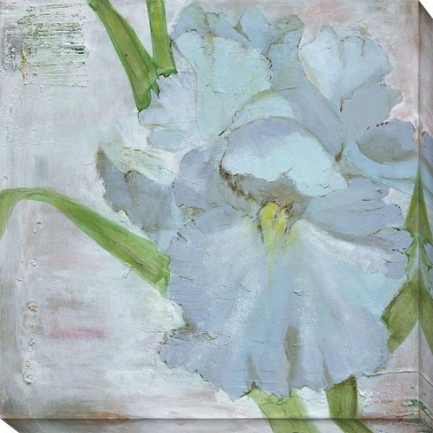 "iris In Periwiknle Canvas Wall Art - 40""hx40""w, Blue"