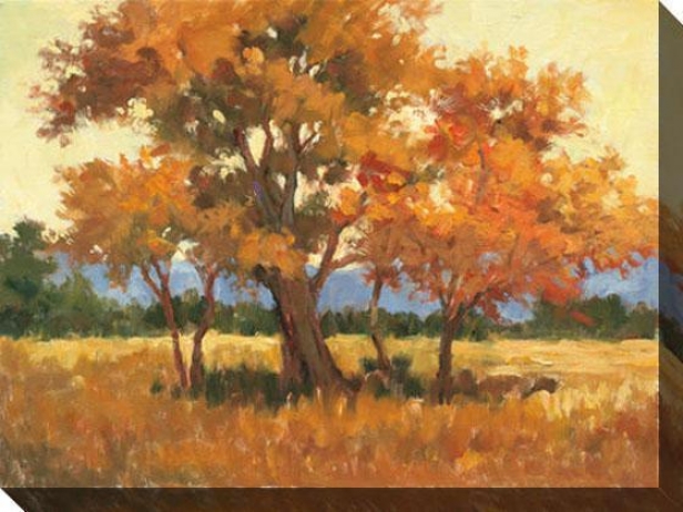 Landscape In Gold Ii Canvas Wall Art - Ii, Orange