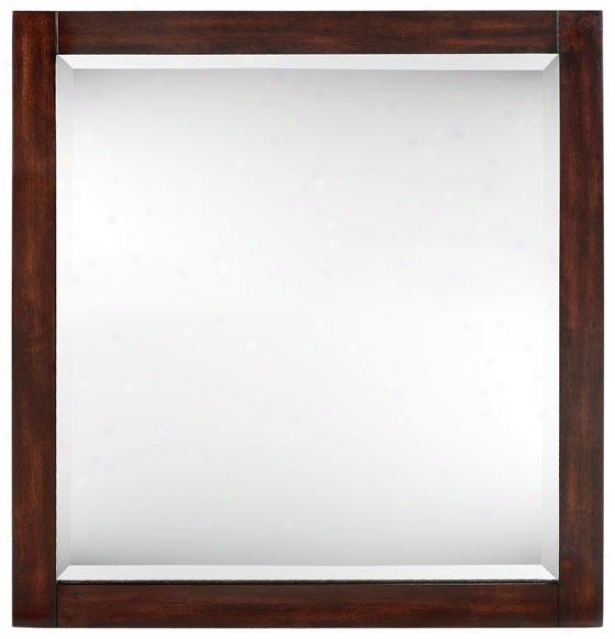 "lexi Mirror - 32""hxx30""w, Brown Forest"