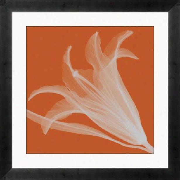 "lily Silver Framed Wall Art - 24""hx24""w, Mtte Bk Cube Fm"