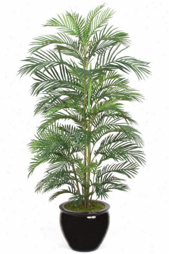 "luau Creca Palm Topiary - 60""h, Green"