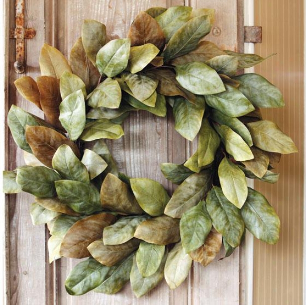 "magnolia Wreath - Wreath 30""d, Green"