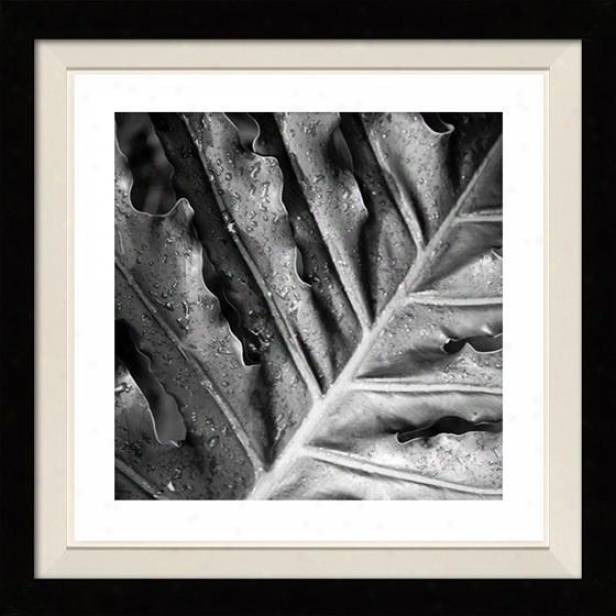 "morning Dew Framed Wall Art - 30""hx30""w, Floated Blacm"