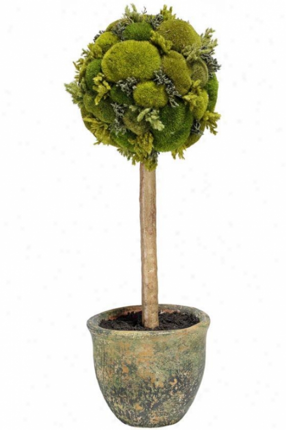 "moss Sphere Topiary - 24""h, Green"