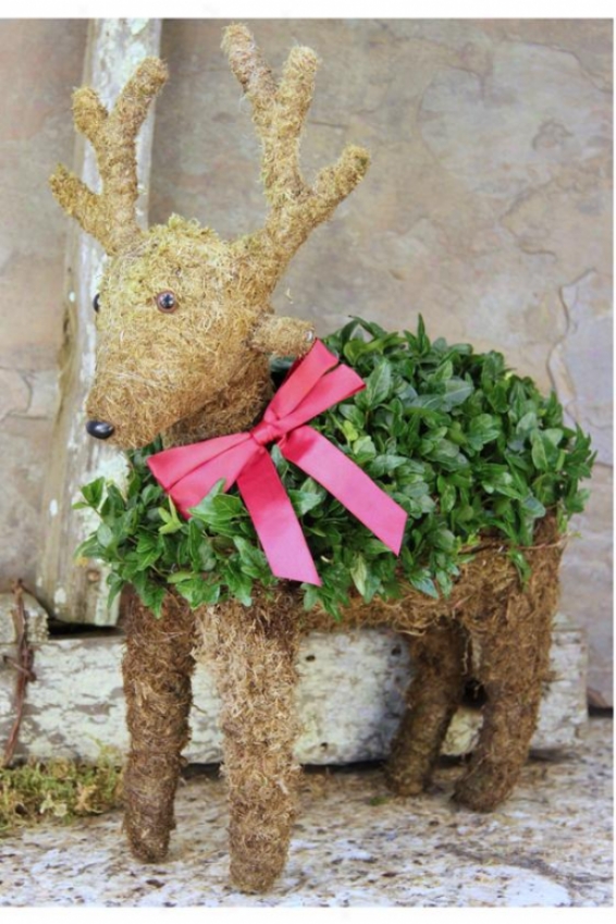 "mossed Ivy Reindeer - 14""hx7""w, Green"