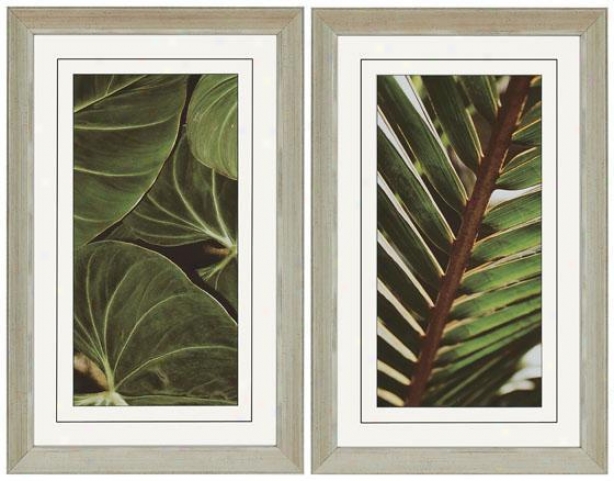 Natura Ii Wall Art - Set Of 2 - Set Of 2, Green