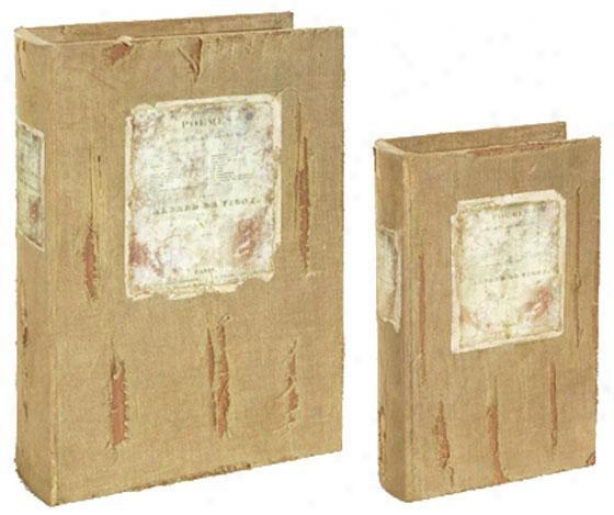 Natural Book Boxes - Set Of 2 - Set Of 2, Ivory