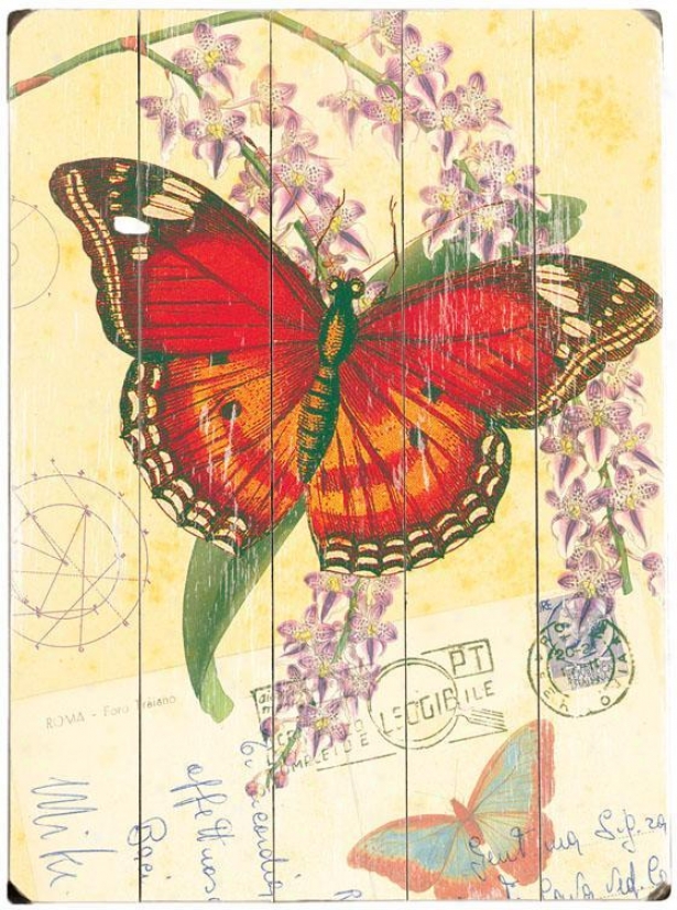 "natural Wonders - Butterfly Wooden Sign - 20""hx14""w, Red"