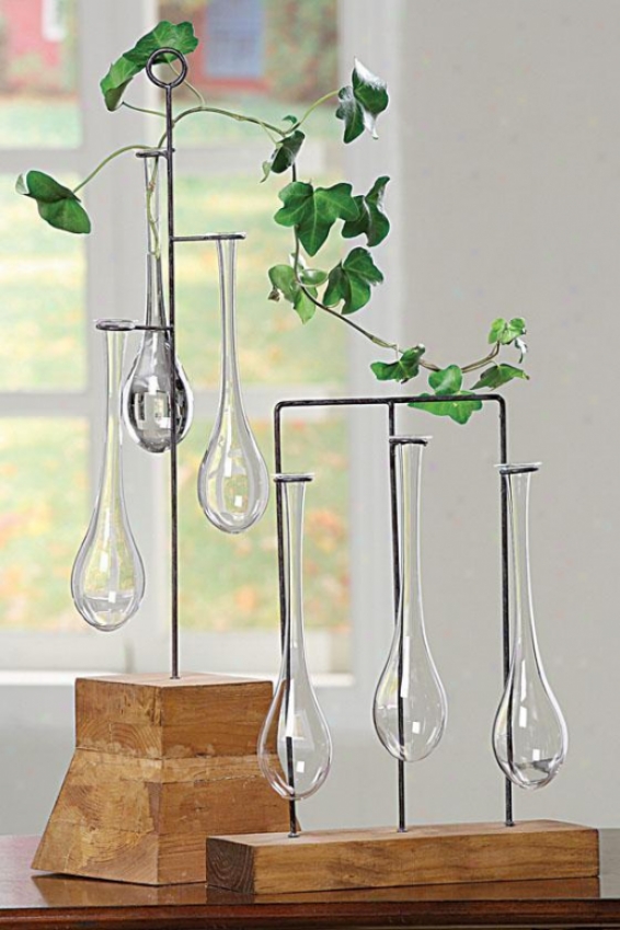 Naturale Bud Vases With Stand - Tall, Wood/clear