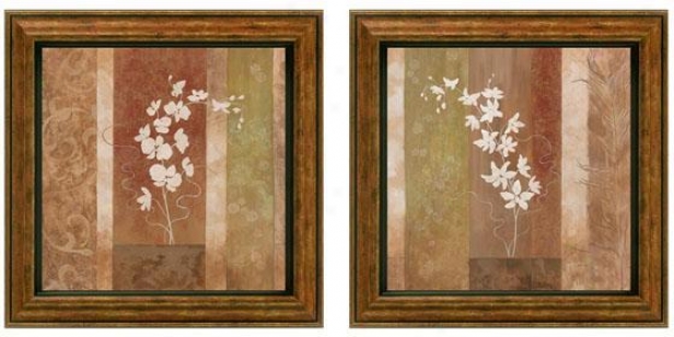 Nature's Silhouette Framed Wall Art - Determined Of 2 - Set Of Two, Earthtones