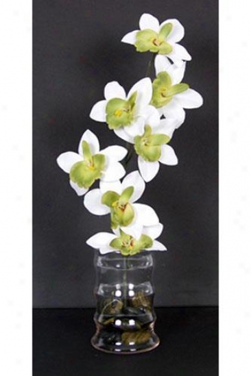 "orchid Floral Arrangement - 15""hx6""d, White"