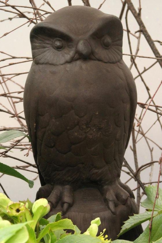 Owl Statue - 12hx6wx5d, Brown Wood