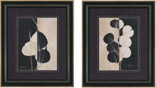 Parchment Leaves Wall Art - Set Of 2  -Set Of Two, Blavk And White