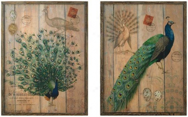 Peacock Wall Plaques Set Of 2 - Set Of 2, Brown