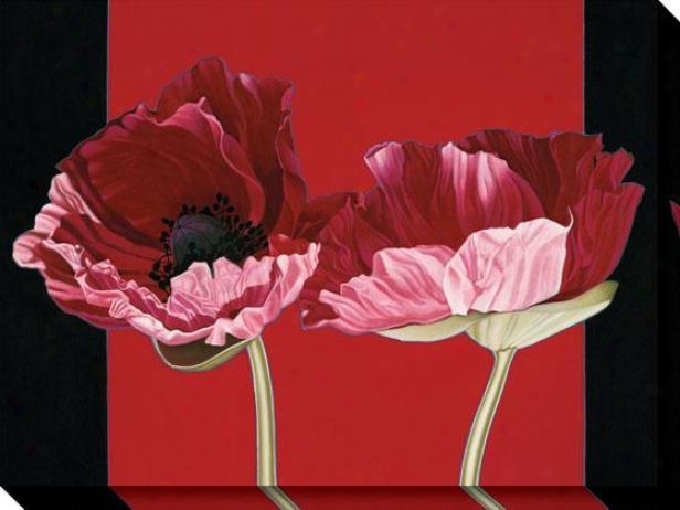 "poppies Canvas Wall Art - 36""hx48""w, Red"