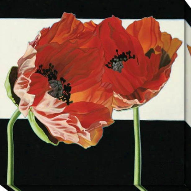 "poppies With Black And White Canvas Wall Art - 40""hx40""w, Black"